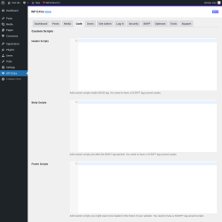 Page screenshot: WP EXtra → Code