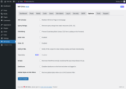 Page screenshot: WP EXtra → Optimize