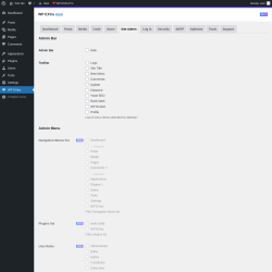 Page screenshot: WP EXtra → Site Admin