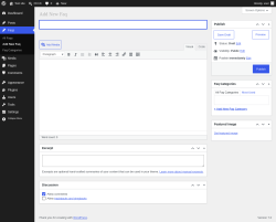 Page screenshot: Add New Faq &rarr; Faqs