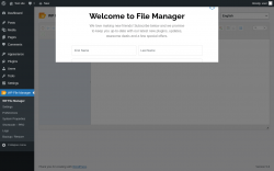 Page screenshot: WP File Manager