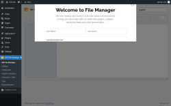 Page screenshot: WP File Manager