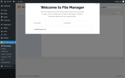 Page screenshot: WP File Manager