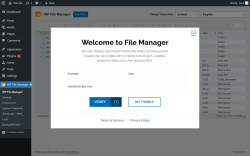 Page screenshot: WP File Manager
