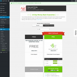Page screenshot: Settings &rarr; Upgrade&nbsp;&nbsp;➤