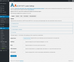 Page screenshot: Settings &rarr; WP FOFT Loader