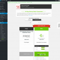 Page screenshot: Settings &rarr; Upgrade&nbsp;&nbsp;➤