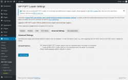 Page screenshot: Settings &rarr; WP FOFT Loader &rarr; Advanced Settings