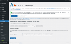Page screenshot: Settings &rarr; WP FOFT Loader &rarr; Advanced Settings