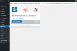 Page screenshot: WP FOFT Loader Settings &lsaquo; Test site &mdash; WordPress