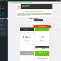 Page screenshot: Settings &rarr; Upgrade&nbsp;&nbsp;➤