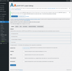 Page screenshot: Settings &rarr; WP FOFT Loader