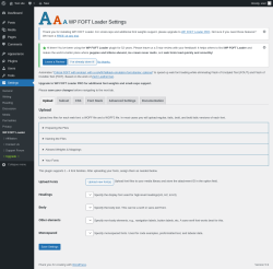 Page screenshot: Settings &rarr; WP FOFT Loader