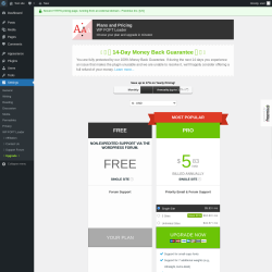 Page screenshot: Settings &rarr; Upgrade&nbsp;&nbsp;➤