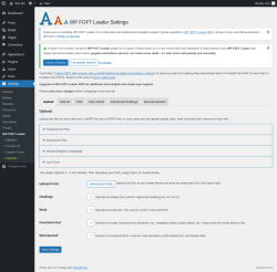 Page screenshot: Settings &rarr; WP FOFT Loader