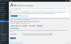Page screenshot: Settings &rarr; WP FOFT Loader &rarr; Advanced Settings