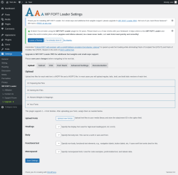 Page screenshot: Settings &rarr; WP FOFT Loader