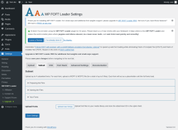 Page screenshot: Settings &rarr; WP FOFT Loader &rarr; Subset