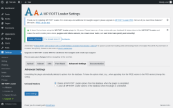 Page screenshot: Settings &rarr; WP FOFT Loader &rarr; Advanced Settings
