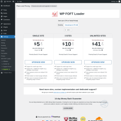 Page screenshot: Settings &rarr; Upgrade&nbsp;&nbsp;➤