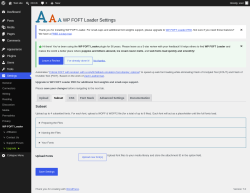 Page screenshot: Settings &rarr; WP FOFT Loader &rarr; Subset