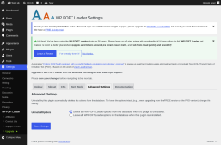 Page screenshot: Settings &rarr; WP FOFT Loader &rarr; Advanced Settings
