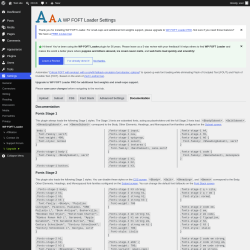 Page screenshot: Settings &rarr; WP FOFT Loader &rarr; Documentation