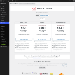 Page screenshot: Settings &rarr; Upgrade&nbsp;&nbsp;➤