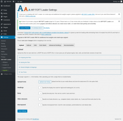 Page screenshot: Settings &rarr; WP FOFT Loader