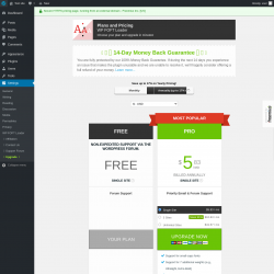 Page screenshot: Settings &rarr; Upgrade&nbsp;&nbsp;➤