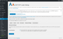 Page screenshot: Settings &rarr; WP FOFT Loader &rarr; Advanced Settings