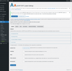 Page screenshot: Settings &rarr; WP FOFT Loader