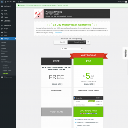Page screenshot: Settings &rarr; Upgrade&nbsp;&nbsp;➤