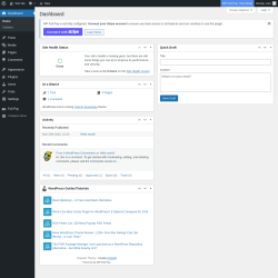 Page screenshot: Dashboard ‹ Test site — WordPress