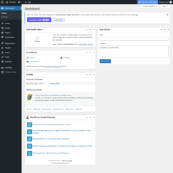 Page screenshot: Dashboard ‹ Test site — WordPress