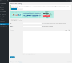 Page screenshot: Gmail SMTP &rarr; Test Email
