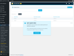 Page screenshot: WP MAPS &rarr; Manage Routes