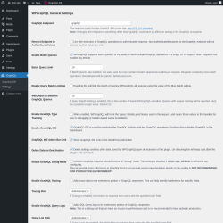 Page screenshot: GraphQL &rarr; Settings