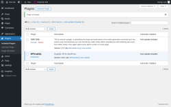 Page screenshot: Plugins &lsaquo; Test site &mdash; WordPress