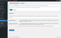 Page screenshot: GraphQL &rarr; Settings &rarr; Experiments 🧪