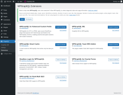 Page screenshot: GraphQL &rarr; Extensions