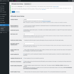 Page screenshot: GraphQL &rarr; Settings