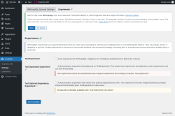 Page screenshot: GraphQL &rarr; Settings &rarr; Experiments 
