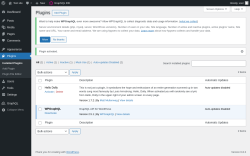 Page screenshot: Plugins &lsaquo; Test site &mdash; WordPress