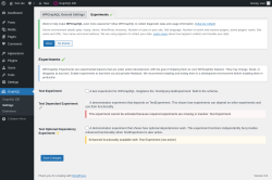 Page screenshot: GraphQL &rarr; Settings &rarr; Experiments 🧪