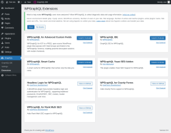 Page screenshot: GraphQL &rarr; Extensions