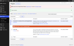 Page screenshot: Plugins &lsaquo; Test site &mdash; WordPress