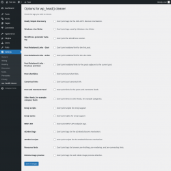 Page screenshot: Settings &rarr; wp_head() cleaner