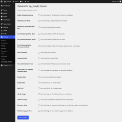 Page screenshot: Settings &rarr; wp_head() cleaner