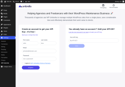 Page screenshot: Settings &rarr; WP Umbrella